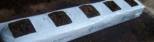 Grow Bag